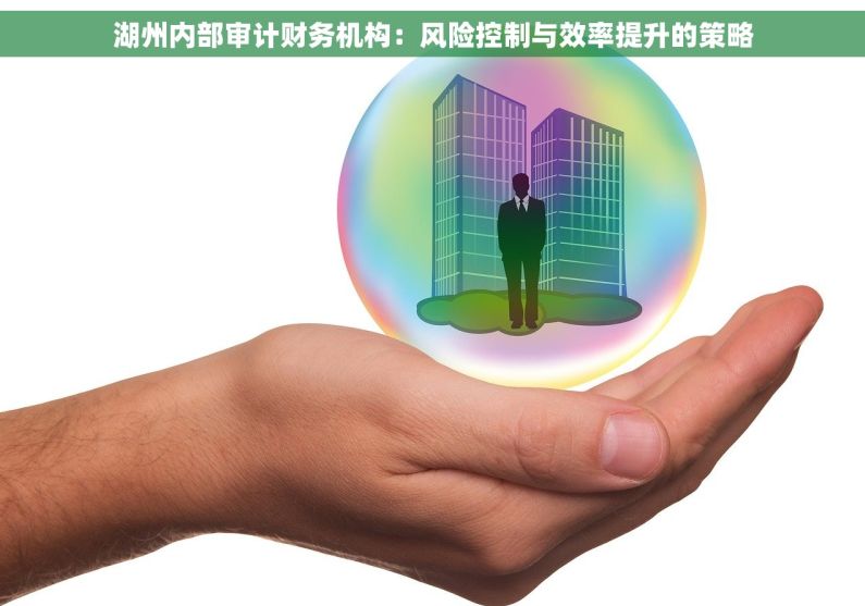 湖州内部审计财务机构：风险控制与效率提升的策略