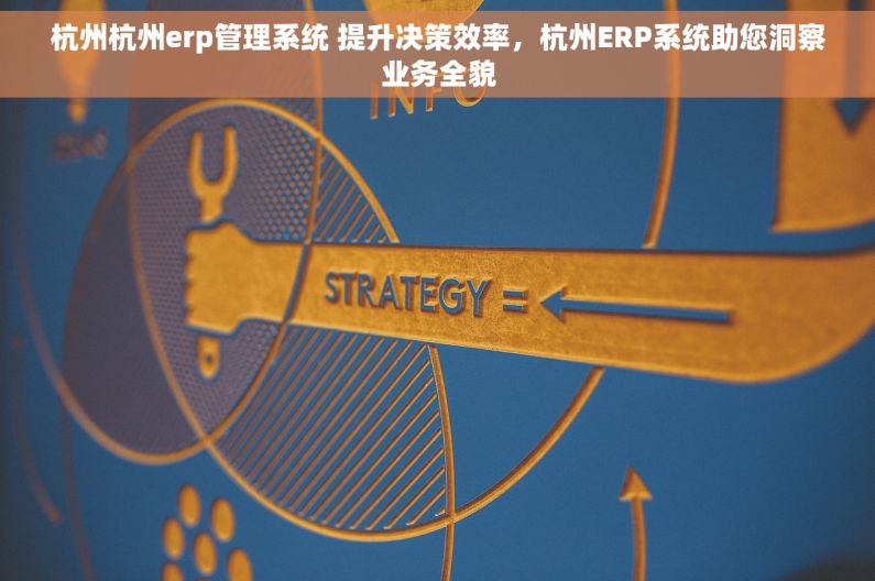 杭州杭州erp管理系统 提升决策效率，杭州ERP系统助您洞察业务全貌