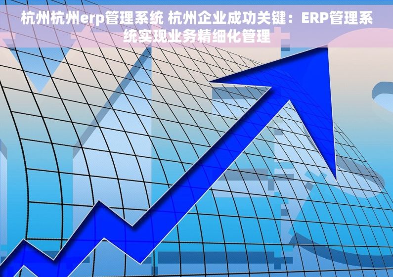 杭州杭州erp管理系统 杭州企业成功关键：ERP管理系统实现业务精细化管理