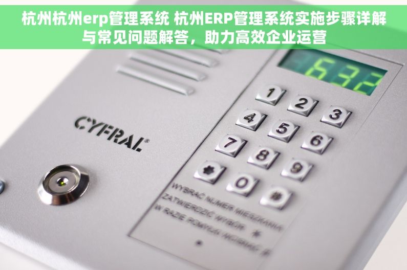 杭州杭州erp管理系统 杭州ERP管理系统实施步骤详解与常见问题解答，助力高效企业运营