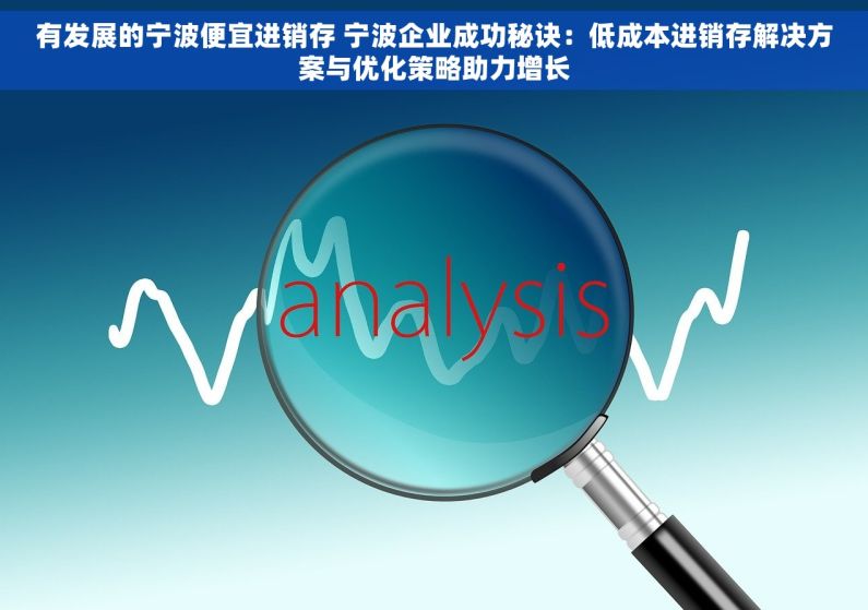 有发展的宁波便宜进销存 宁波企业成功秘诀：低成本进销存解决方案与优化策略助力增长