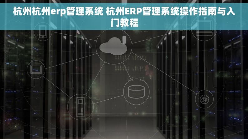 杭州杭州erp管理系统 杭州ERP管理系统操作指南与入门教程