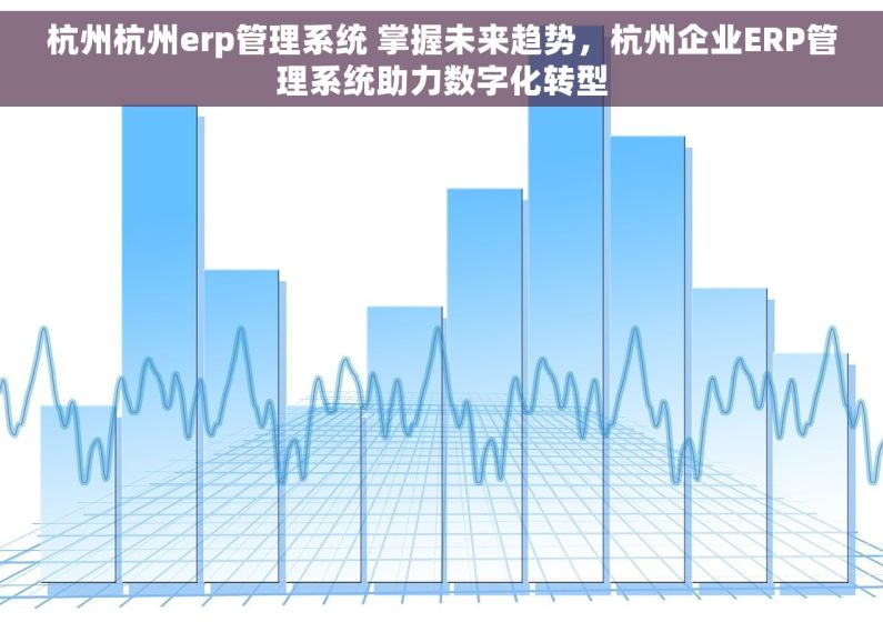 杭州杭州erp管理系统 掌握未来趋势，杭州企业ERP管理系统助力数字化转型