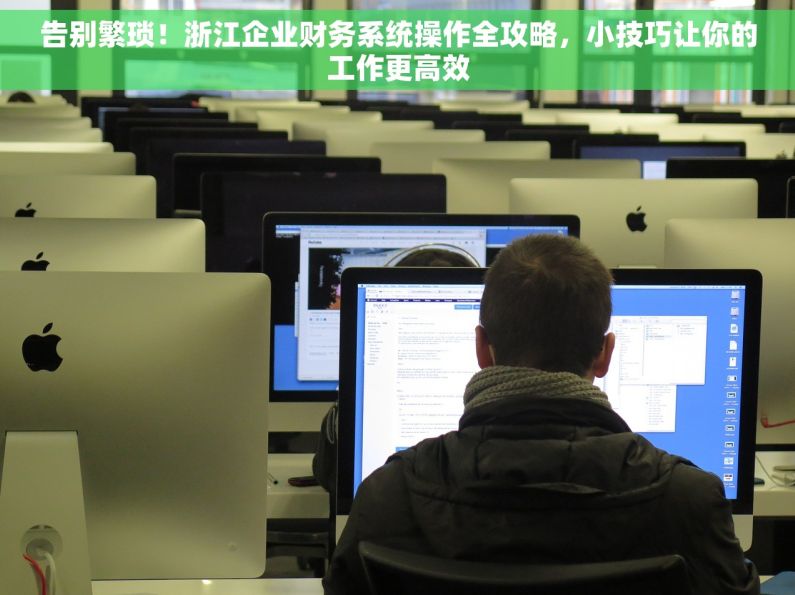 告别繁琐！浙江企业财务系统操作全攻略，小技巧让你的工作更高效