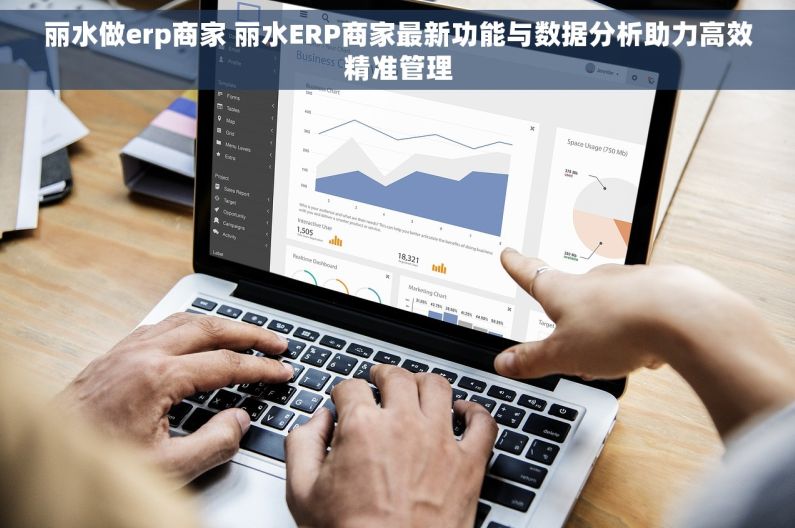 丽水做erp商家 丽水ERP商家最新功能与数据分析助力高效精准管理