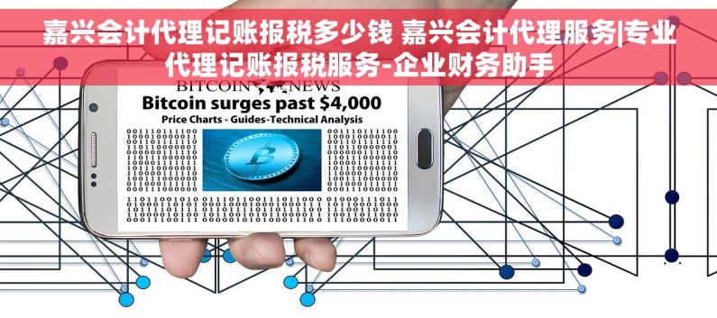 嘉兴会计代理记账报税多少钱 嘉兴会计代理服务|专业代理记账报税服务-企业财务助手