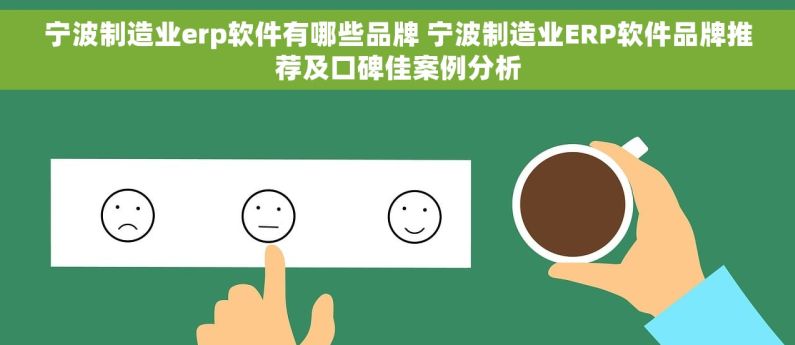宁波制造业erp软件有哪些品牌 宁波制造业ERP软件品牌推荐及口碑佳案例分析