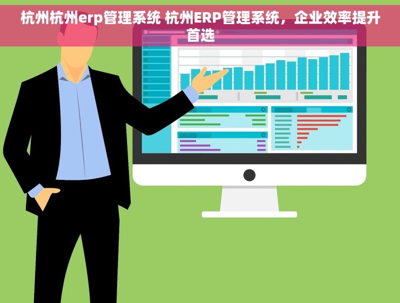 杭州杭州erp管理系统 杭州ERP管理系统，企业效率提升首选