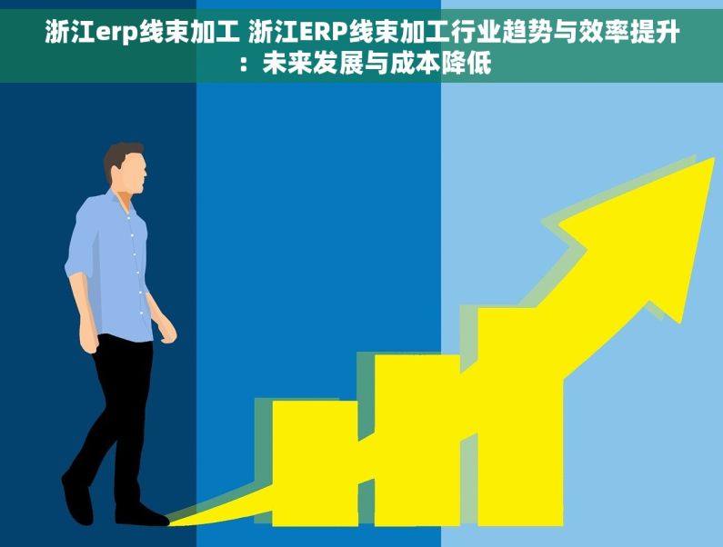 浙江erp线束加工 浙江ERP线束加工行业趋势与效率提升：未来发展与成本降低