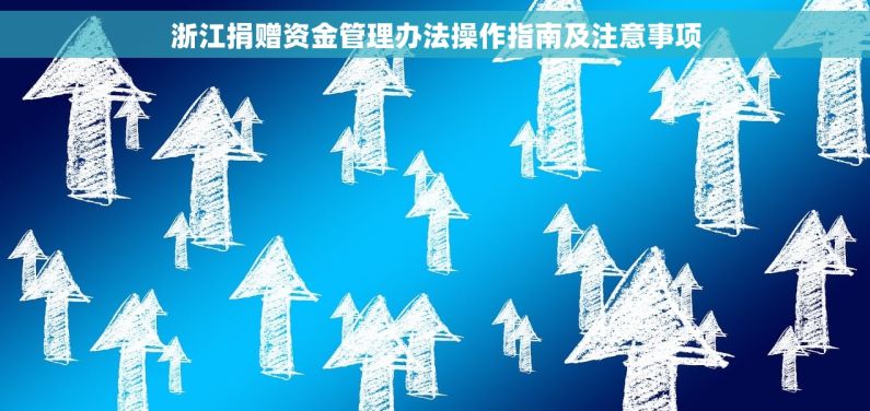 浙江捐赠资金管理办法操作指南及注意事项