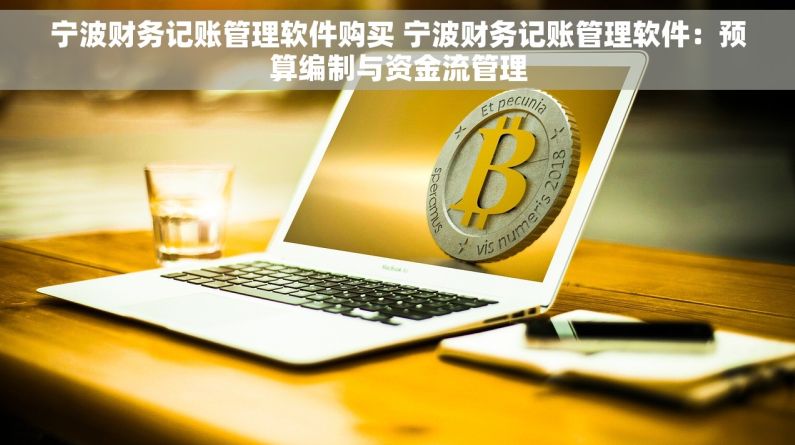 宁波财务记账管理软件购买 宁波财务记账管理软件：预算编制与资金流管理