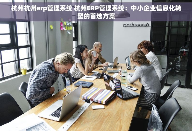 杭州杭州erp管理系统 杭州ERP管理系统：中小企业信息化转型的首选方案