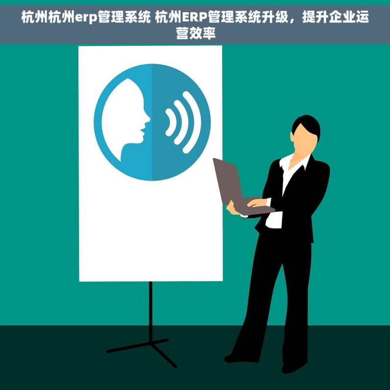 杭州杭州erp管理系统 杭州ERP管理系统升级，提升企业运营效率