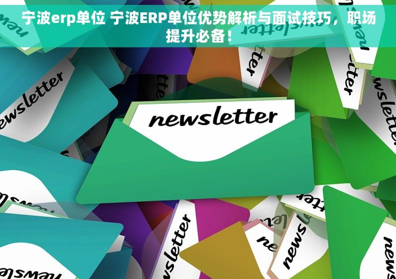 宁波erp单位 宁波ERP单位优势解析与面试技巧，职场提升必备！