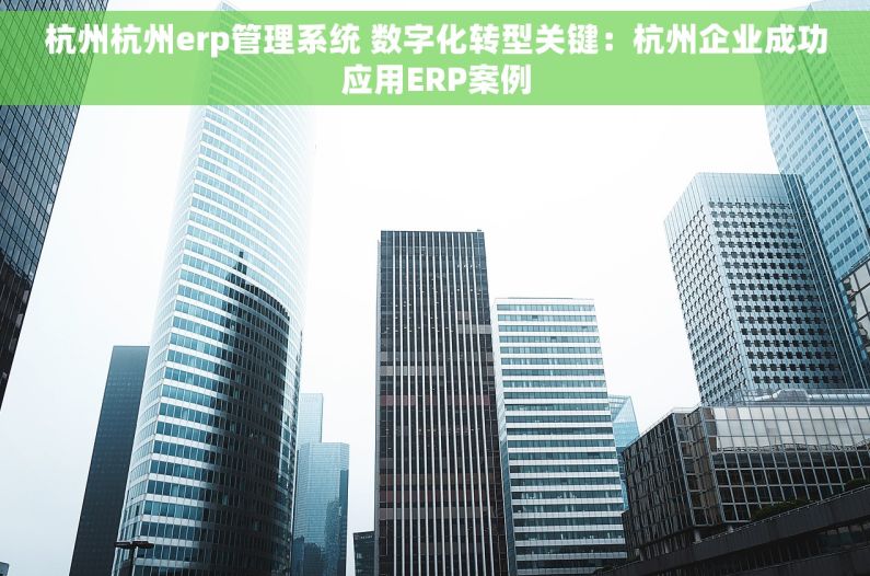 杭州杭州erp管理系统 数字化转型关键：杭州企业成功应用ERP案例