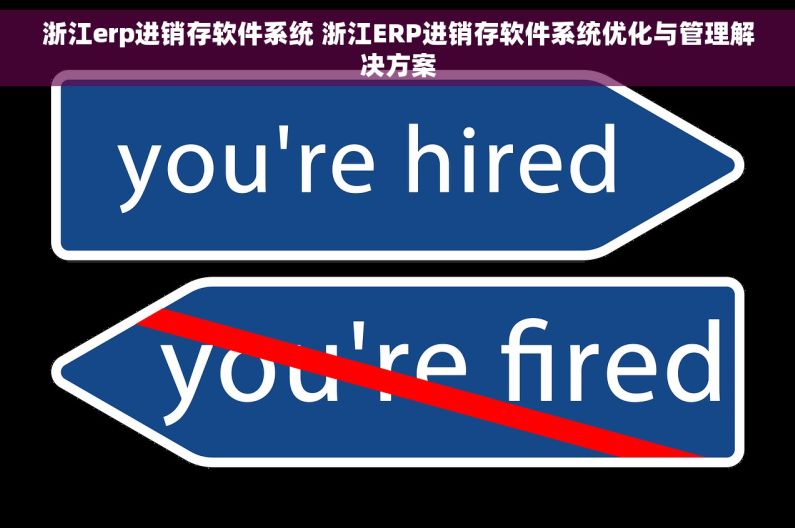 浙江erp进销存软件系统 浙江ERP进销存软件系统优化与管理解决方案