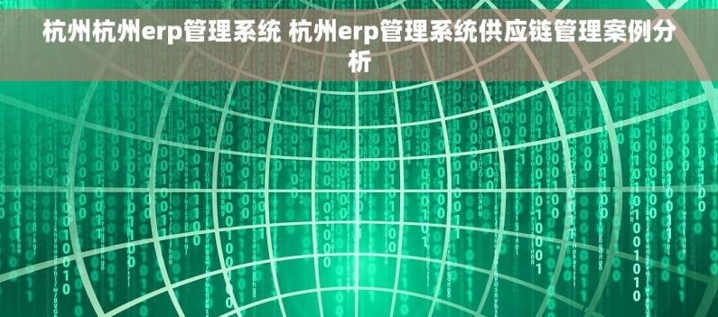 杭州杭州erp管理系统 杭州erp管理系统供应链管理案例分析