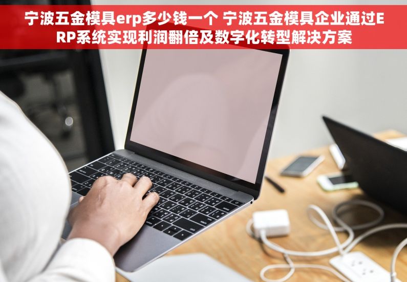 宁波五金模具erp多少钱一个 宁波五金模具企业通过ERP系统实现利润翻倍及数字化转型解决方案