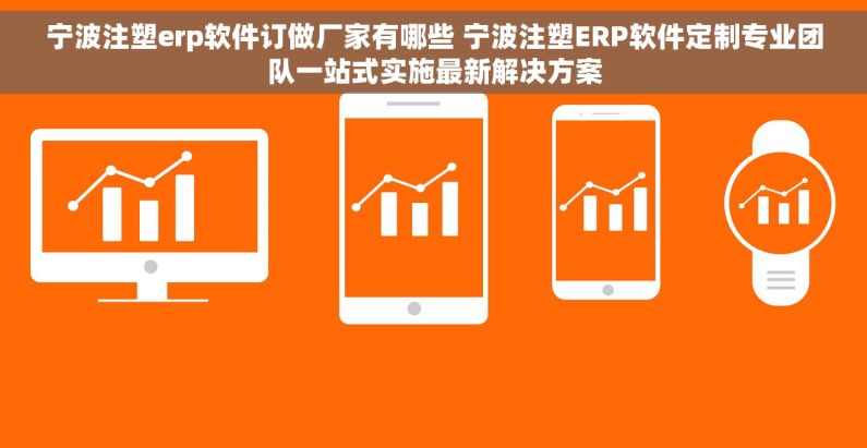 宁波注塑erp软件订做厂家有哪些 宁波注塑ERP软件定制专业团队一站式实施最新解决方案