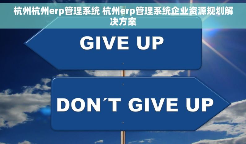 杭州杭州erp管理系统 杭州erp管理系统企业资源规划解决方案