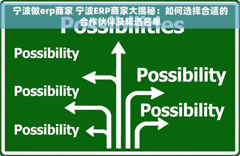 宁波做erp商家 宁波ERP商家大揭秘：如何选择合适的合作伙伴及精选名单
