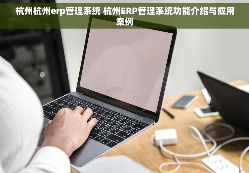 杭州杭州erp管理系统 杭州ERP管理系统功能介绍与应用案例
