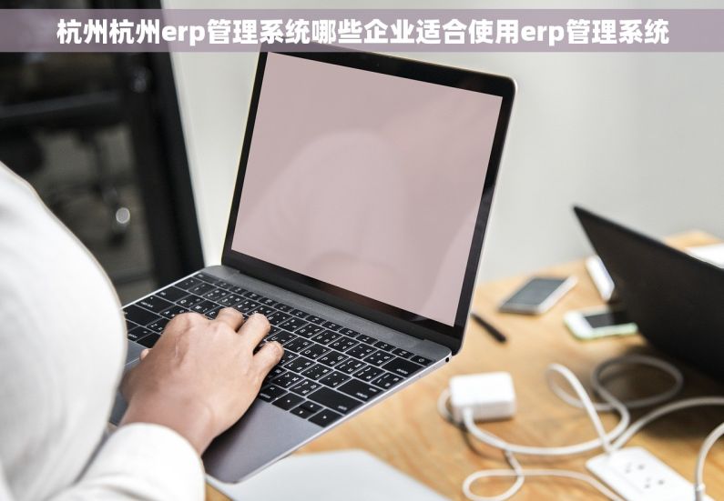 杭州杭州erp管理系统哪些企业适合使用erp管理系统