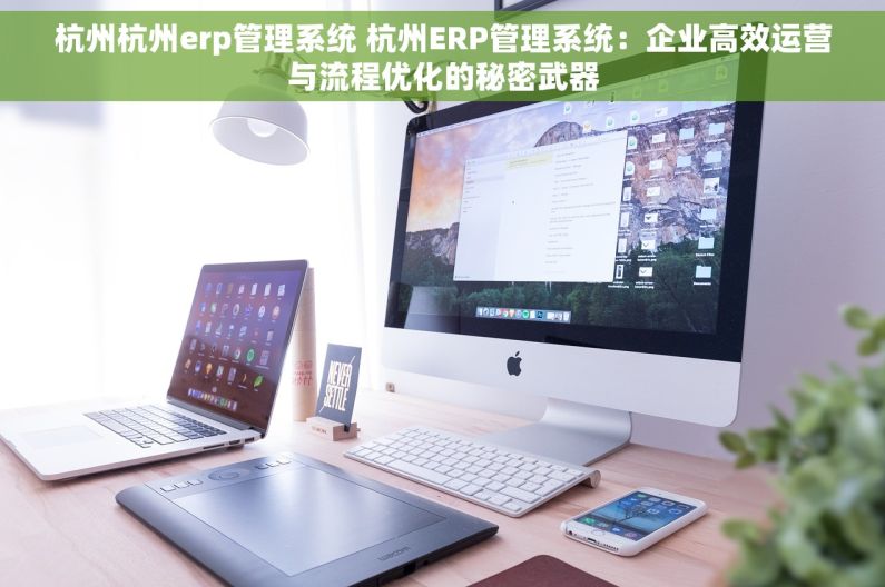 杭州杭州erp管理系统 杭州ERP管理系统：企业高效运营与流程优化的秘密武器