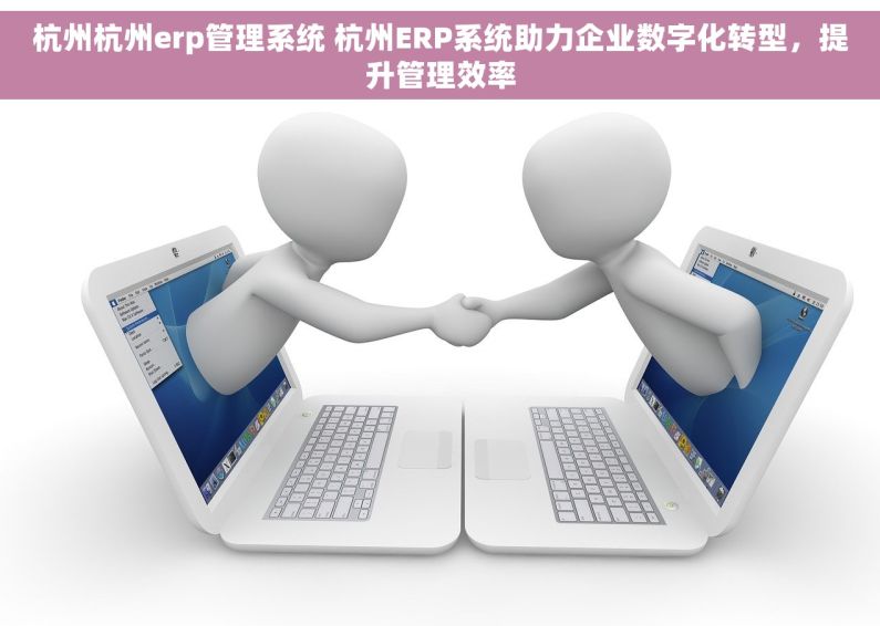 杭州杭州erp管理系统 杭州ERP系统助力企业数字化转型，提升管理效率