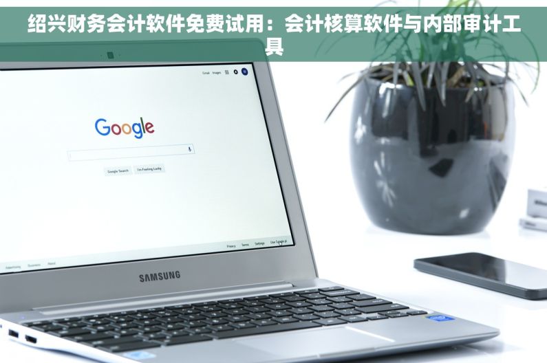 绍兴财务会计软件免费试用：会计核算软件与内部审计工具