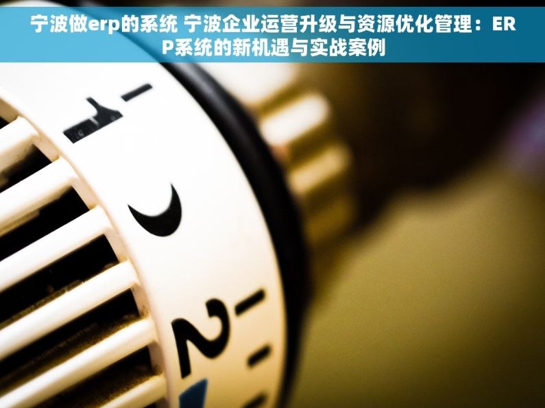 宁波做erp的系统 宁波企业运营升级与资源优化管理：ERP系统的新机遇与实战案例