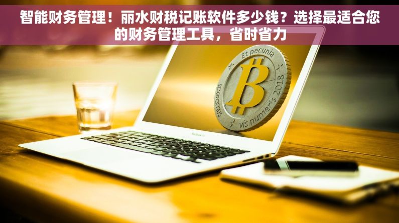 智能财务管理！丽水财税记账软件多少钱？选择最适合您的财务管理工具，省时省力