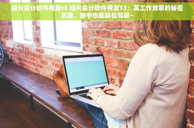 绍兴会计软件用友t3 绍兴会计软件用友T3：高工作效率的秘密武器，新手也能轻松驾驭~