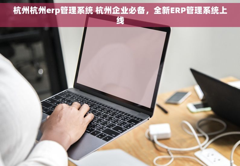 杭州杭州erp管理系统 杭州企业必备，全新ERP管理系统上线