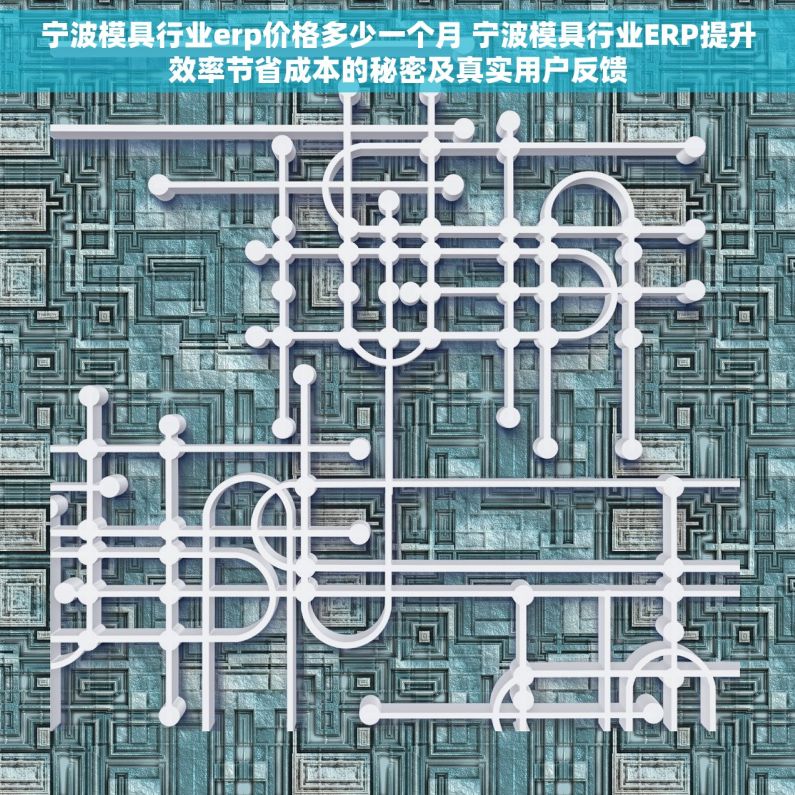 宁波模具行业erp价格多少一个月 宁波模具行业ERP提升效率节省成本的秘密及真实用户反馈