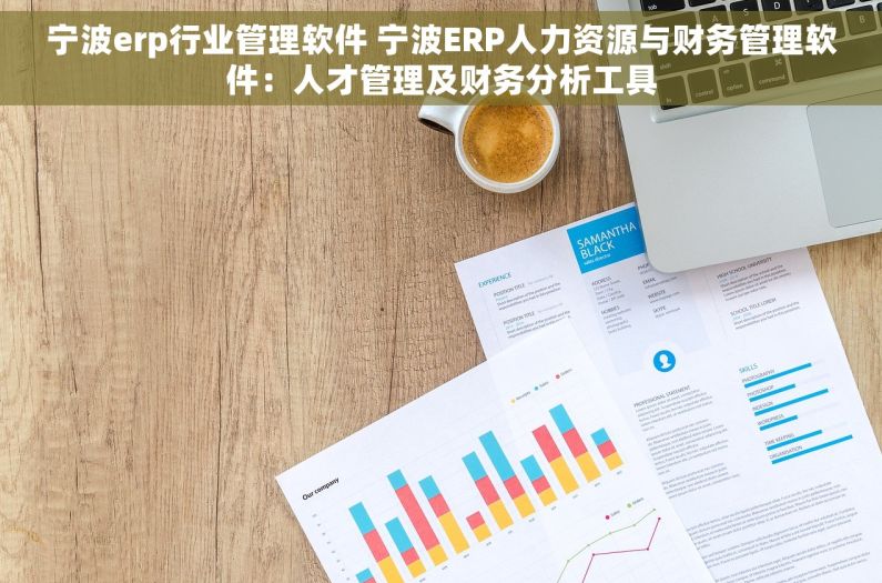 宁波erp行业管理软件 宁波ERP人力资源与财务管理软件：人才管理及财务分析工具