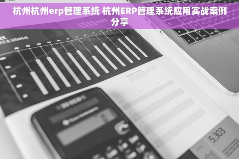 杭州杭州erp管理系统 杭州ERP管理系统应用实战案例分享