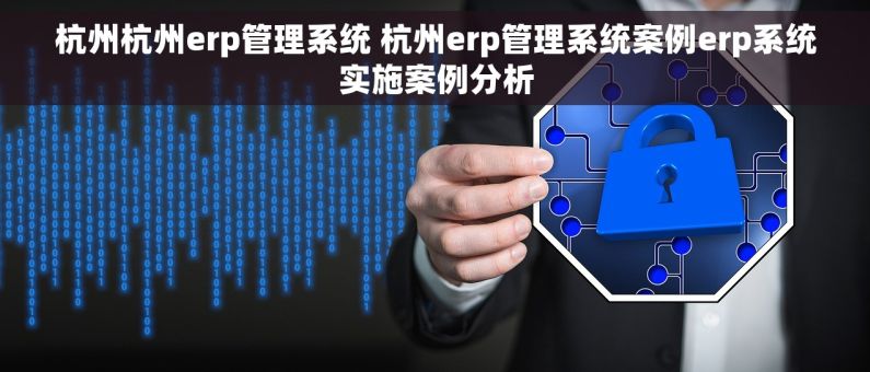 杭州杭州erp管理系统 杭州erp管理系统案例erp系统实施案例分析