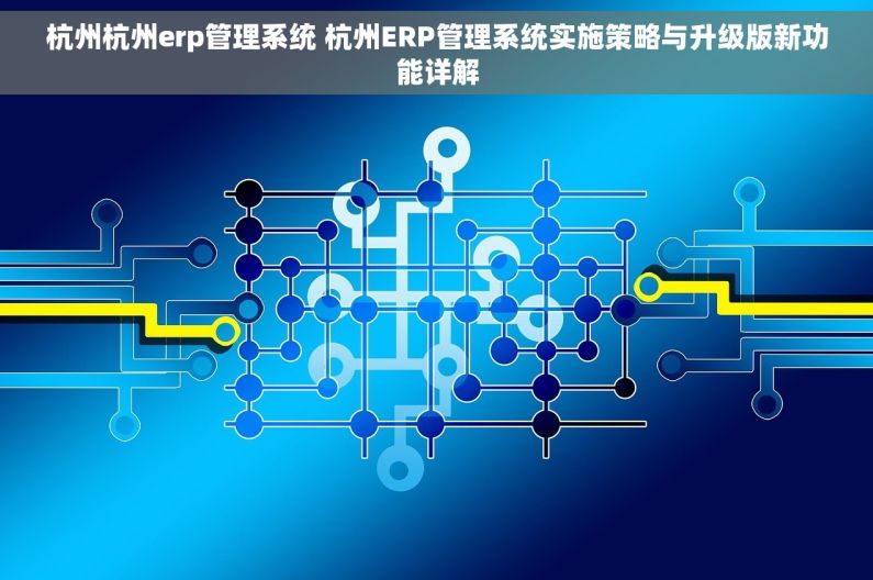 杭州杭州erp管理系统 杭州ERP管理系统实施策略与升级版新功能详解