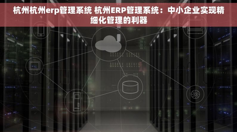 杭州杭州erp管理系统 杭州ERP管理系统：中小企业实现精细化管理的利器