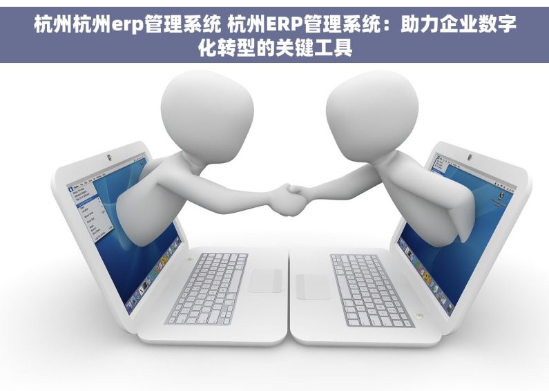 杭州杭州erp管理系统 杭州ERP管理系统：助力企业数字化转型的关键工具