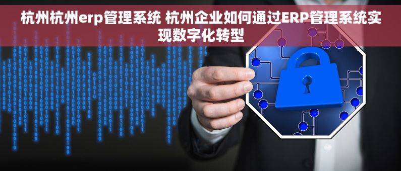 杭州杭州erp管理系统 杭州企业如何通过ERP管理系统实现数字化转型