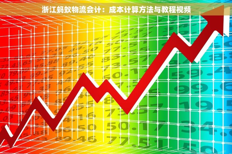 浙江蚂蚁物流会计：成本计算方法与教程视频