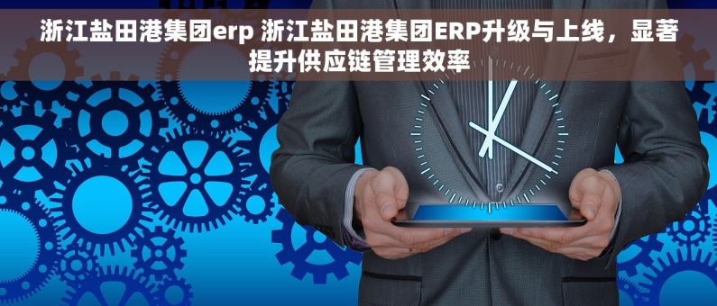 浙江盐田港集团erp 浙江盐田港集团ERP升级与上线，显著提升供应链管理效率