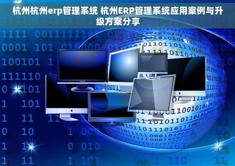 杭州杭州erp管理系统 杭州ERP管理系统应用案例与升级方案分享
