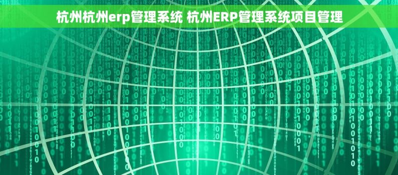 杭州杭州erp管理系统 杭州ERP管理系统项目管理