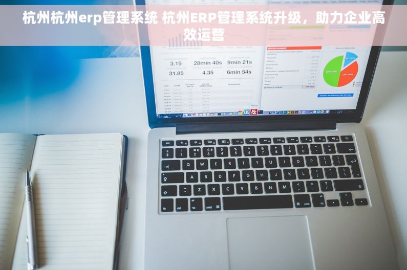 杭州杭州erp管理系统 杭州ERP管理系统升级，助力企业高效运营