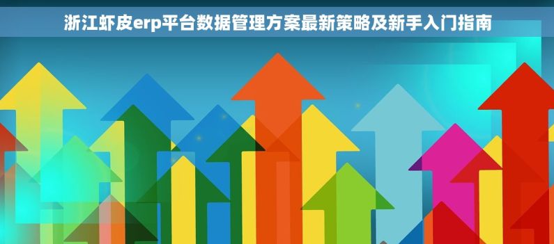 浙江虾皮erp平台数据管理方案最新策略及新手入门指南