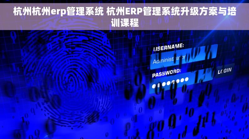 杭州杭州erp管理系统 杭州ERP管理系统升级方案与培训课程