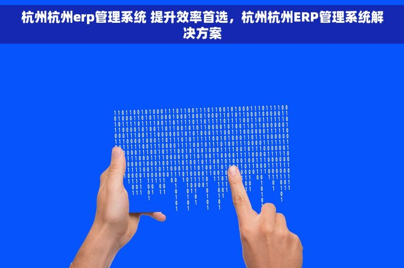 杭州杭州erp管理系统 提升效率首选，杭州杭州ERP管理系统解决方案